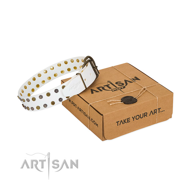 Incredible genuine leather dog collar with reliable adornments