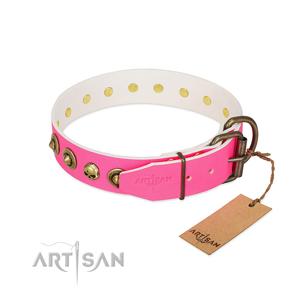 Full grain leather collar with exquisite embellishments for your four-legged friend