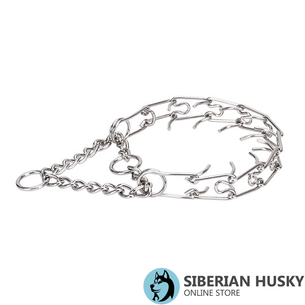 Stainless steel pinch collar for poorly behaved dogs
