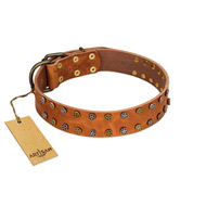 "Walk and Shine" FDT Artisan Tan Leather Siberian Husky Collar with Antiqued Studs
