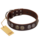 "Treasure Hunter" FDT Artisan Brown Leather Siberian Husky Collar with Old-Bronze-like and Silvery Medallions