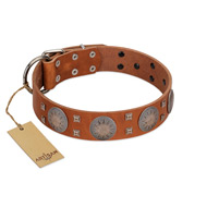 "Sun Rise Noon" FDT Artisan Tan Leather Siberian Husky Collar with Unique Design