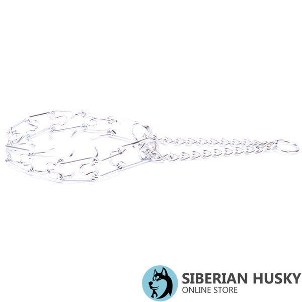 High quality chrome plated steel prong collar for obedience training
