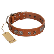 "Splendid Armor" Premium Quality FDT Artisan Tan Designer Siberian Husky Collar with Shields and Stars