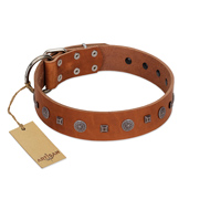 "Sweet Caramel" Designer FDT Artisan Tan Leather Siberian Husky Collar