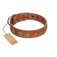 "Antique Figures" FDT Artisan Tan Leather Siberian Husky Collar with Silver-like Engraved Plates