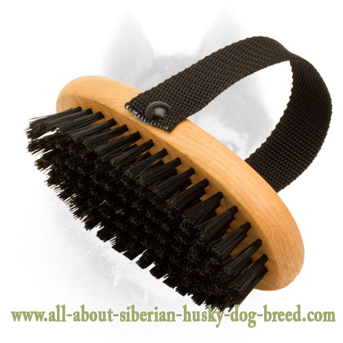 All-Coat Types Bristle Brush