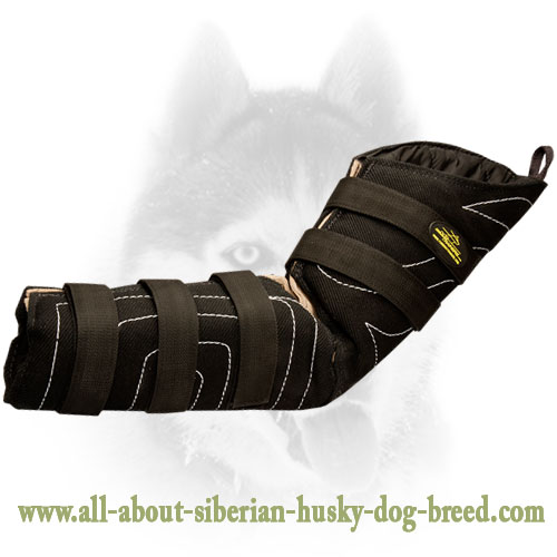 Velcro Closure on Siberian Husky Bite Sleeve