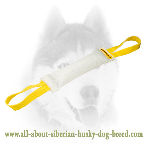 Large Toy for Training your Siberian Husky