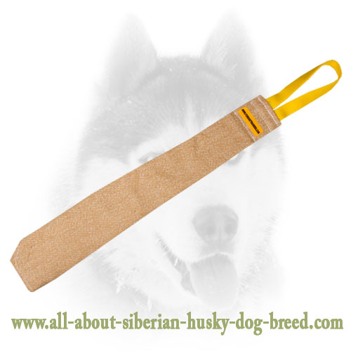 Siberian Husky Puppy Bite Rag With a Comfy Handle