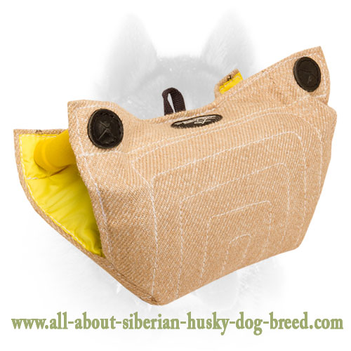 Jute Dog Bite Builder for Young Dogs and Puppies Training 