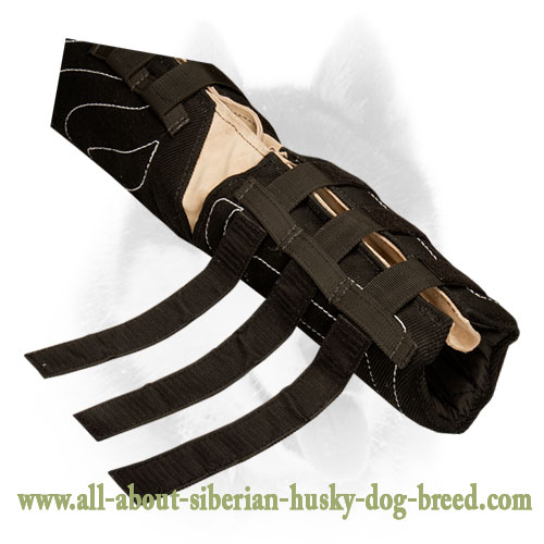 Hidden Protection Siberian Husky Bite Sleeve for Training