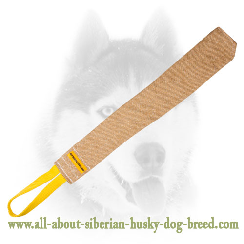 Siberian Husky Puppy Soft Bite Rag For Training with a Small Loop