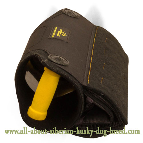 Padded handle inside for better comfort training