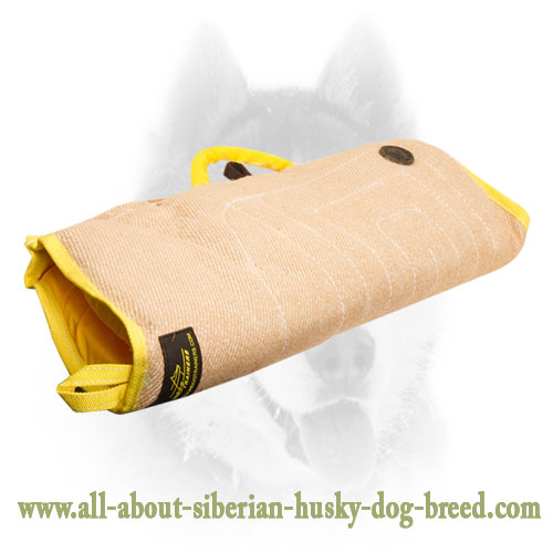 Jute Bite Builder For Siberian Husky Puppies and Young Dogs