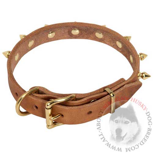 Brass Spiked Leather Siberian Husky Collar