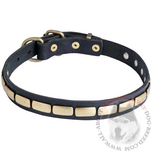 Siberian Husky Leather Collar for Walking in Style