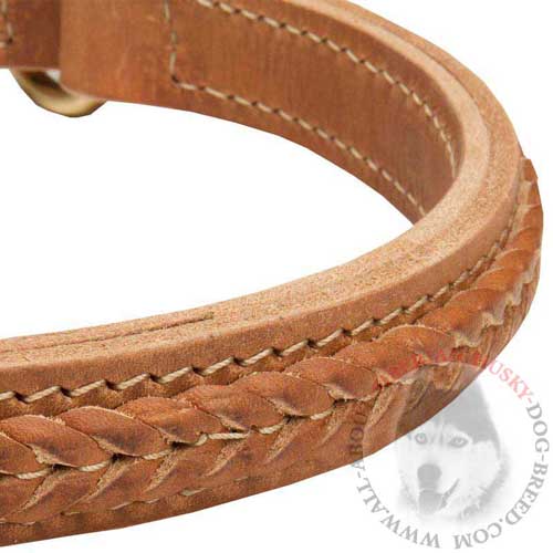 2 Ply Soft Choke Dog Collar Braided Tan Colored 