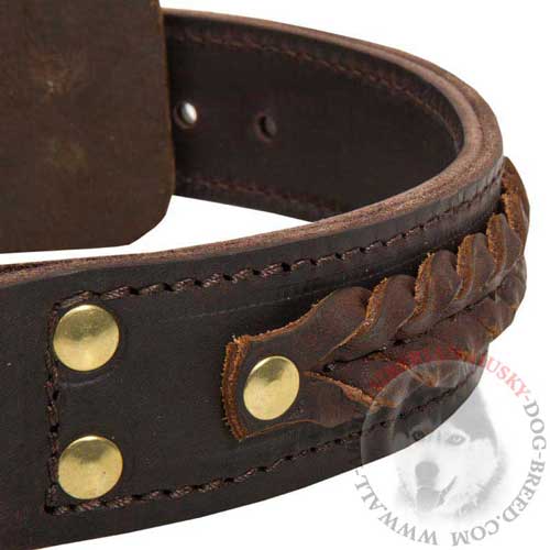 Leather 2 Ply Siberian Husky Collar Brown Braided