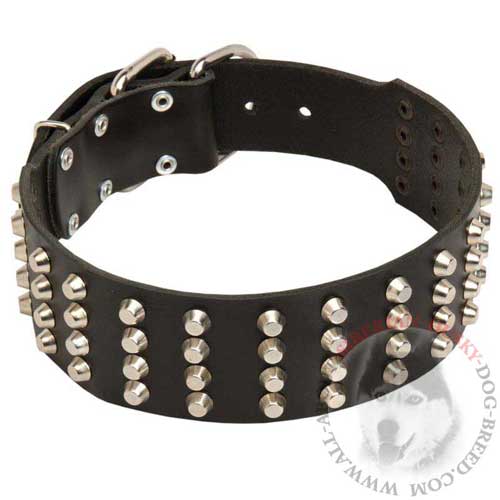 Extra Wide Studded Leather Siberian Husky Collar