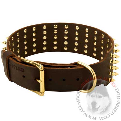 Buckle Leather Siberian Husky Collar with Brass Hardware