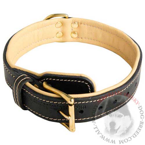 Nappa Padded Leather Siberian Husky Collar