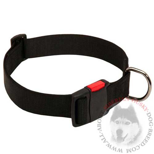 Nylon Adjustable Dog Collar for Siberian Husky Walking Training