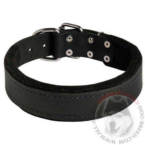 Training Leather Siberian Husky Collar Easy Adjustable with Buckle