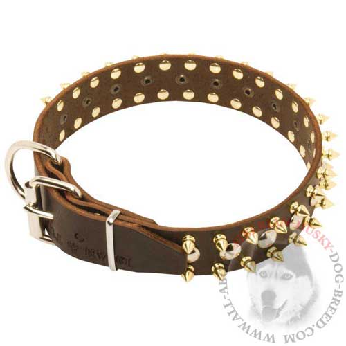 Studded and Spiked Leather Collar for Siberian Husky