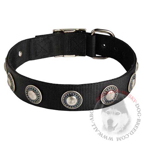 Any Weather Nylon Collar with Conchos for Siberian Husky