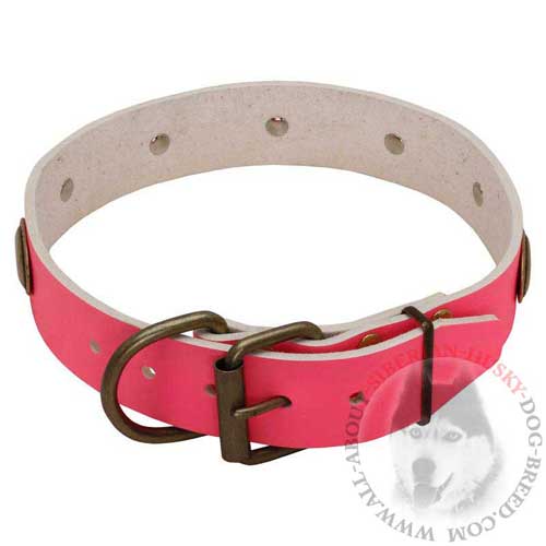 Designer Pink Collar for Siberian Husky Female Canines