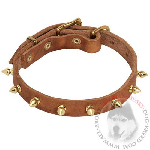 Leather Dog Collar with Brass Spikes for Siberian Husky