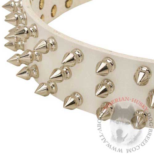 Leather Sibrian Husky Collar with Spiked Decoration