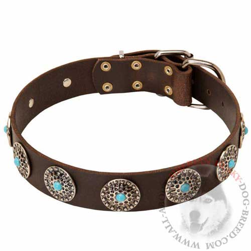 Walking Leather Dog Collar Stylish for Siberian Husky