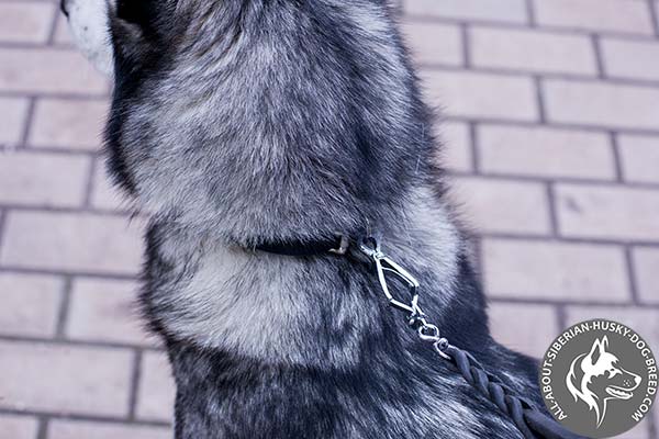 Dainty Leather Siberian Husky Collar with Resistant to Rust Hardware
