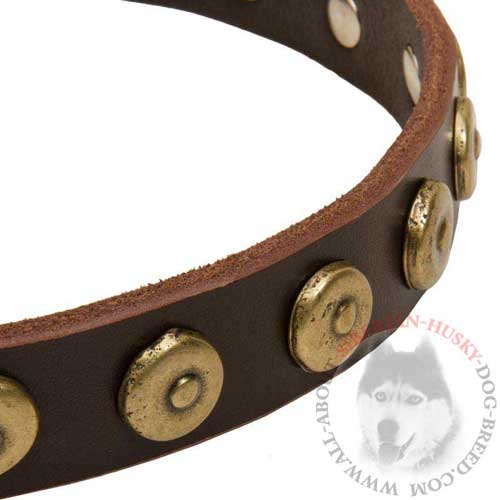 Siberian Husky Designer Leather Collar with Brass Circles