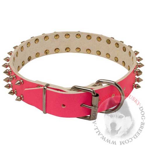Leather Dog Buckle Collar Pink Designer for Siberian Husky Walking
