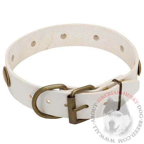 Designer White Collar for Siberian Husky Female Canines