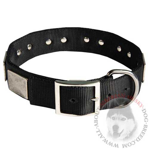 Nylon Siberian Husky Collar for Any Weather Walking