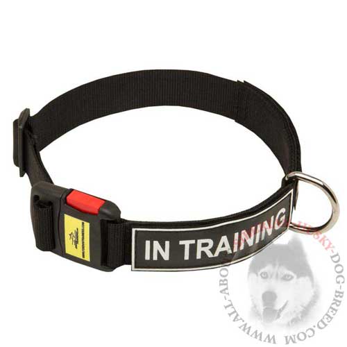 Nylon Siberian Husky Collar for Dog Training