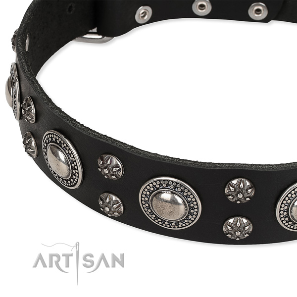 Easy to put on/off leather dog collar with almost unbreakable chrome plated fittings