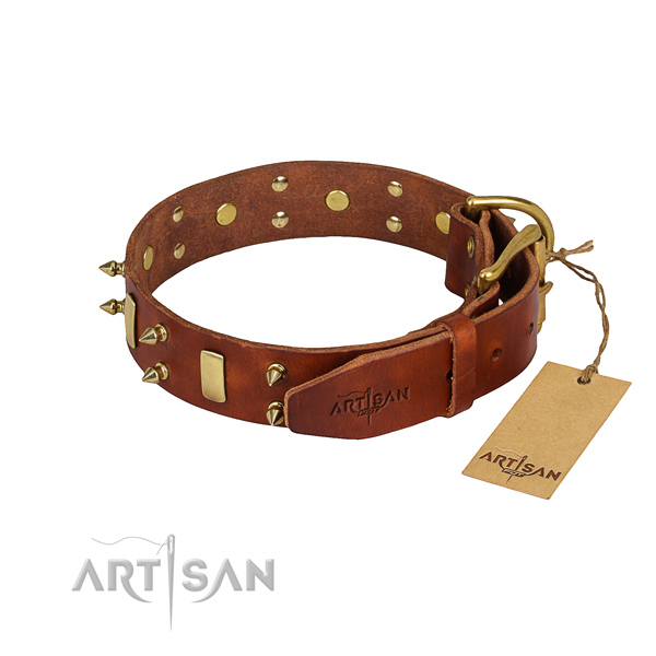 Tough leather dog collar with rust-resistant elements