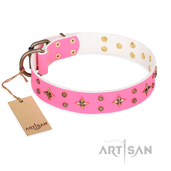 Incredible full grain leather dog collar for daily walking
