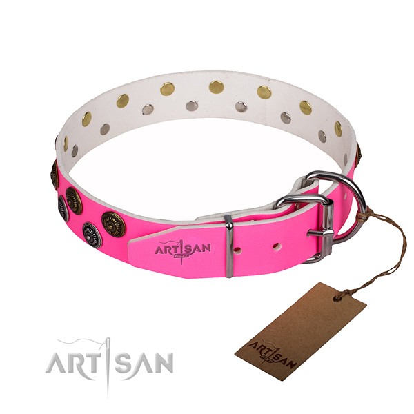Everyday use natural genuine leather collar with embellishments for your canine