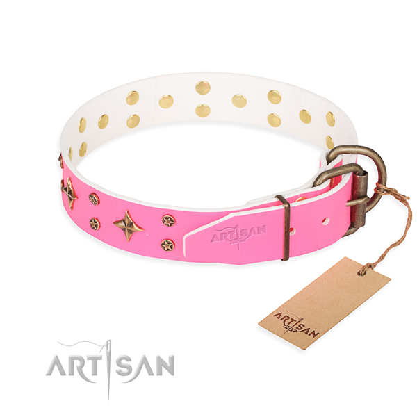Daily use full grain leather collar with studs for your doggie