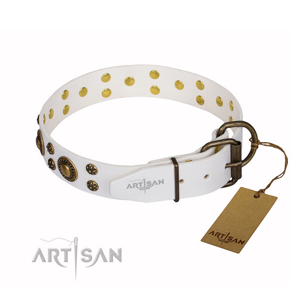 Fashionable leather dog collar for everyday use
