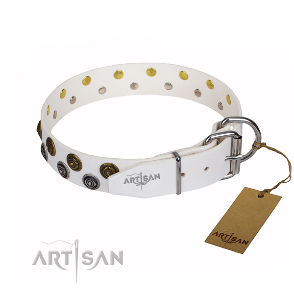 Stylish walking full grain genuine leather collar with embellishments for your dog