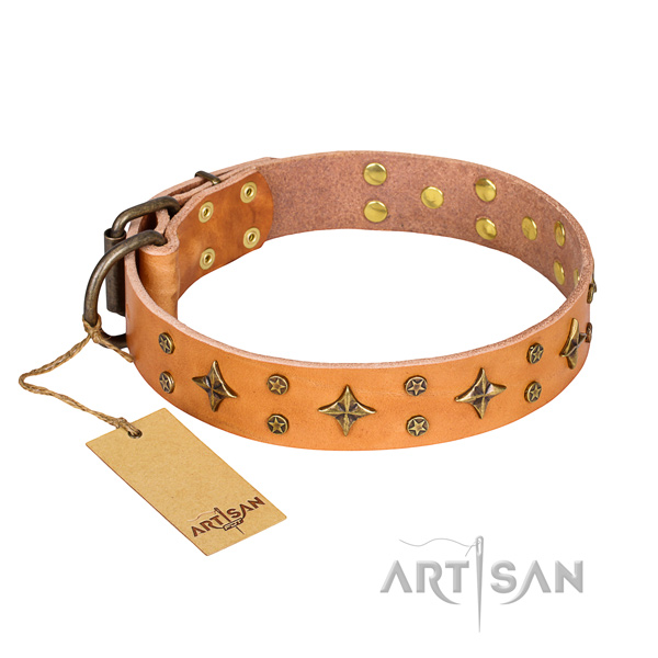 Remarkable leather dog collar for stylish walking