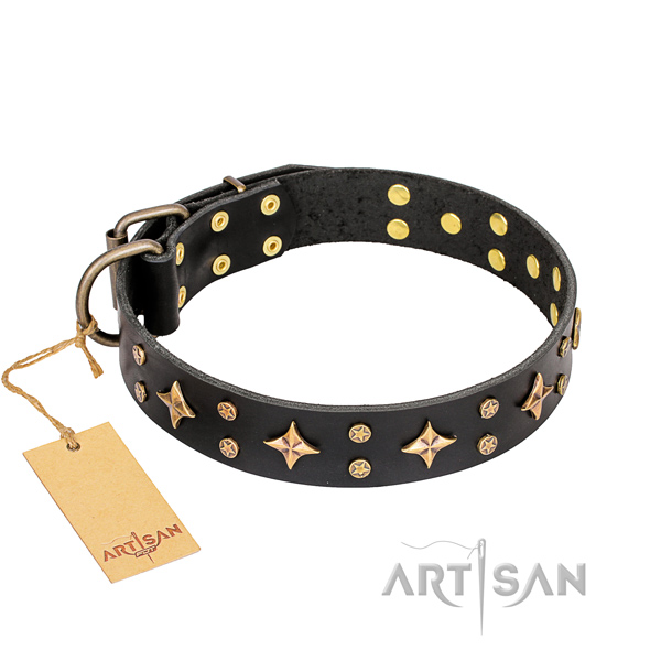 Inimitable genuine leather dog collar for everyday walking
