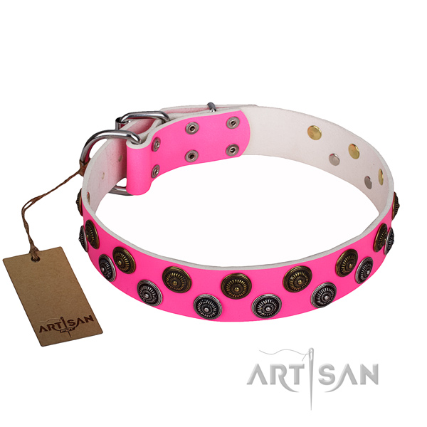 Inimitable full grain natural leather dog collar for everyday walking